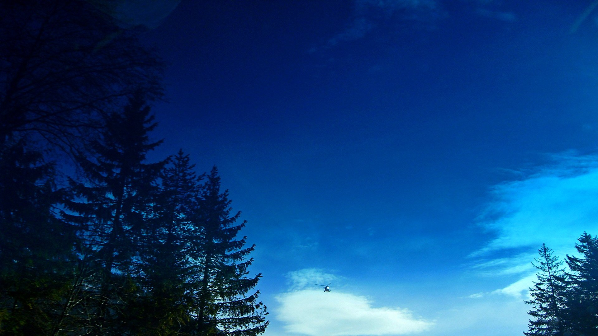 557873 Wallpaper