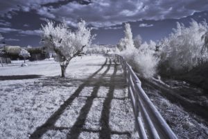 infrared, Landscape, Nature, Trees, Fence