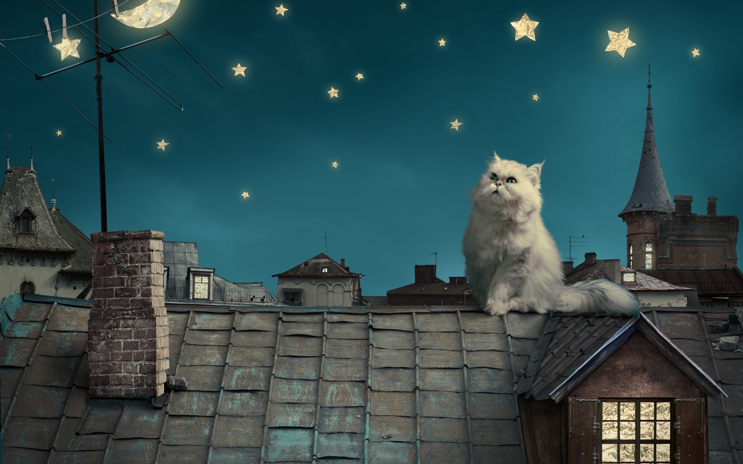 persian, White, Cat, Kitten, Fairytale, Fantasy, Roof, House, Sky, Night, Stars, Moon, Cities, Fantasy Wallpaper