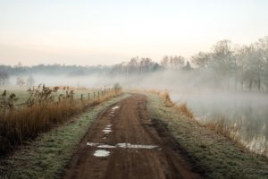morning, Road, River, Fog, Nature, Landscape