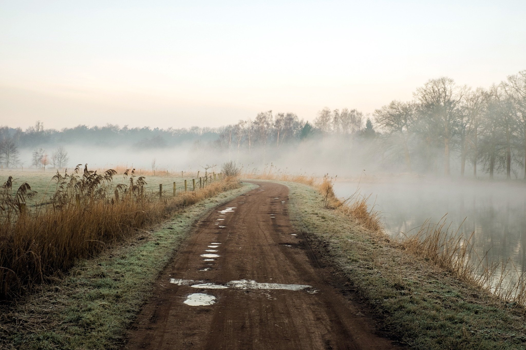 morning, Road, River, Fog, Nature, Landscape Wallpaper