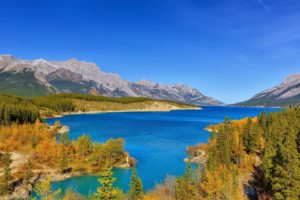 abraham, Alberta, Canada, Canadian, Rockies, Lake, Mountain, Forest, Landscape