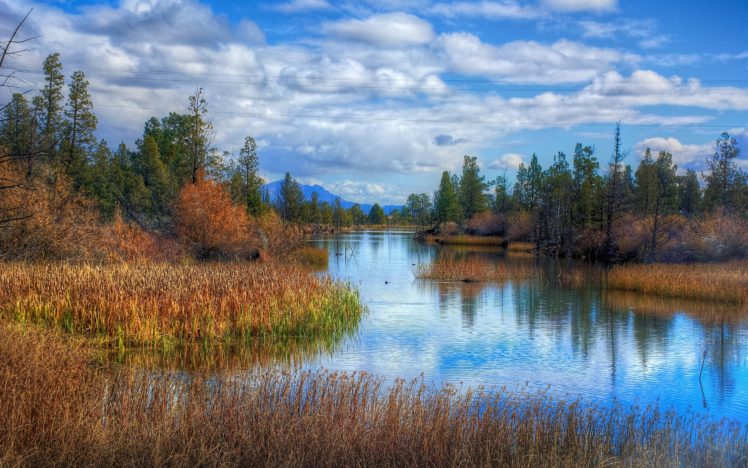 lake, Autumn, Trees, Landscape HD Wallpaper Desktop Background