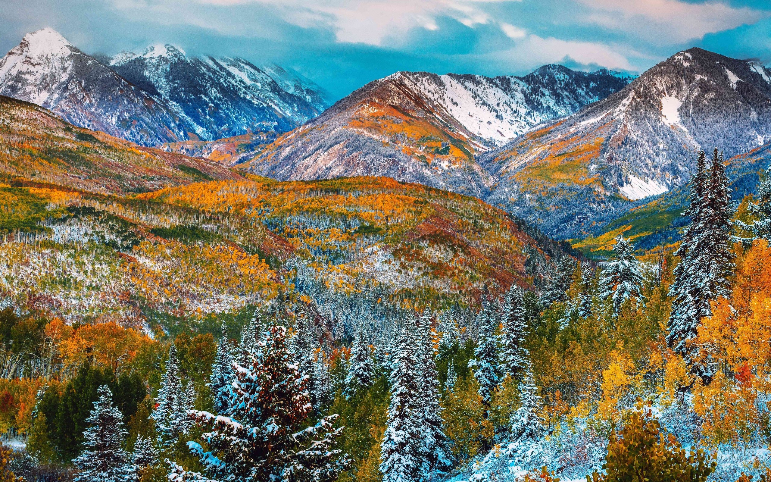 autumn, Mountains, Trees, Landscape, Winter Wallpaper