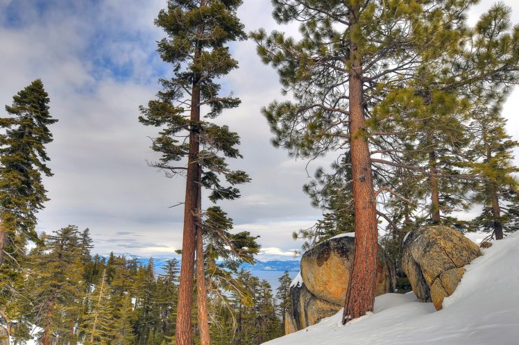 lake, Tahoe, California, Nevada, Trees, Rocks, Winter HD Wallpaper Desktop Background