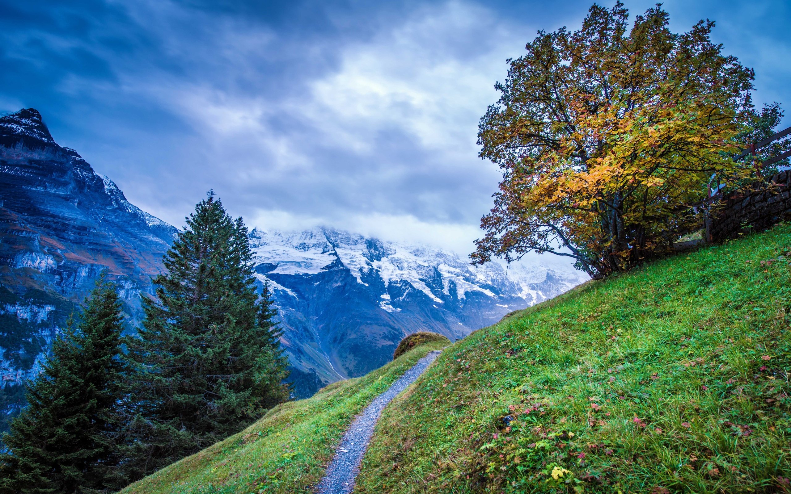 mountains, Trees, Footpath, Landscape Wallpaper