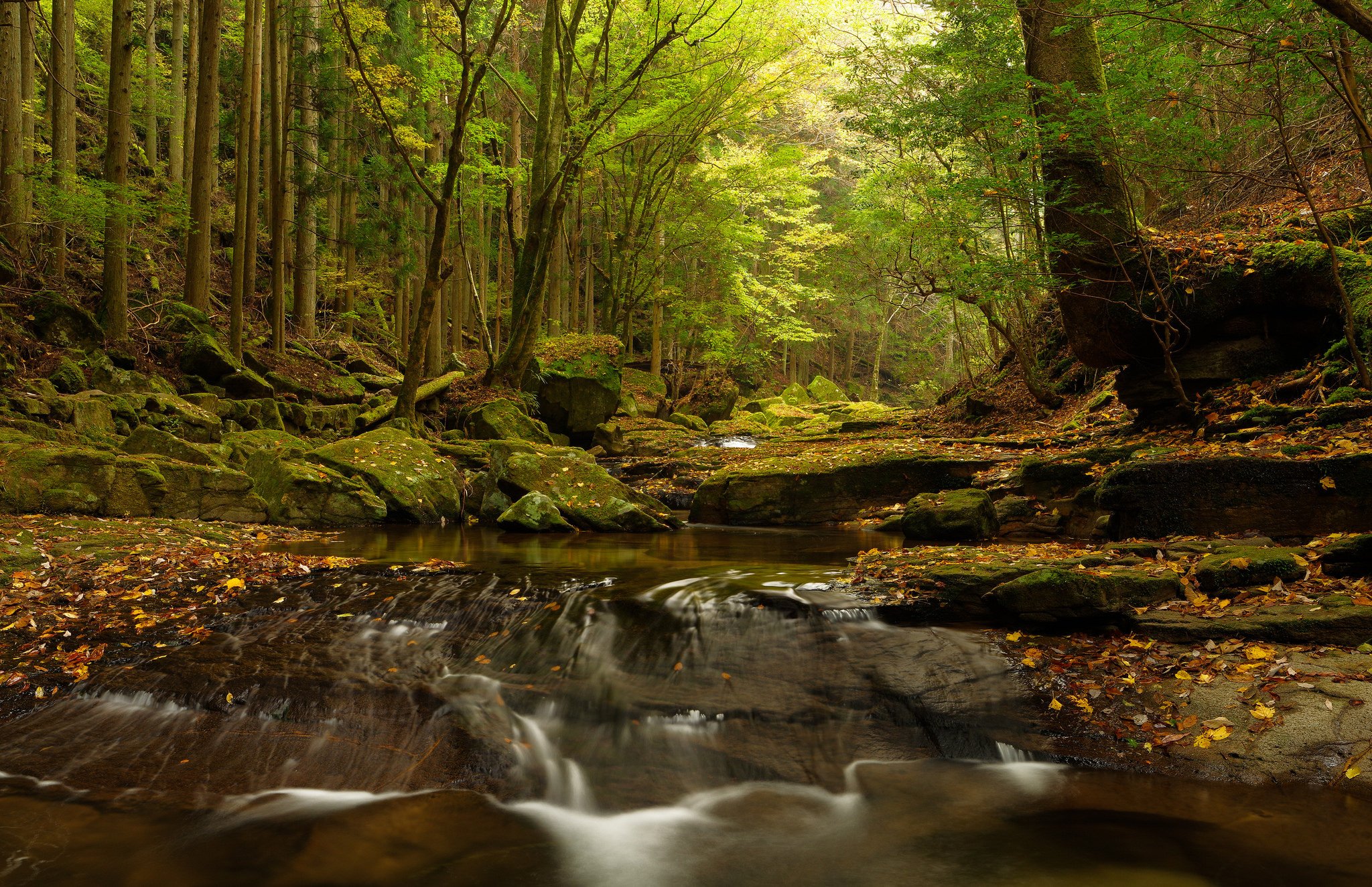 stones, Moss, River, Trees, Japan Wallpaper