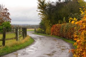 roads, Autumn, Fall, Rain, Wet, Water, Reflection, Fence, Landscapes, Trees