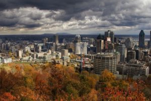 trees, Cityscapes, Skylines, Buildings, Montreal, Hdr, Photography