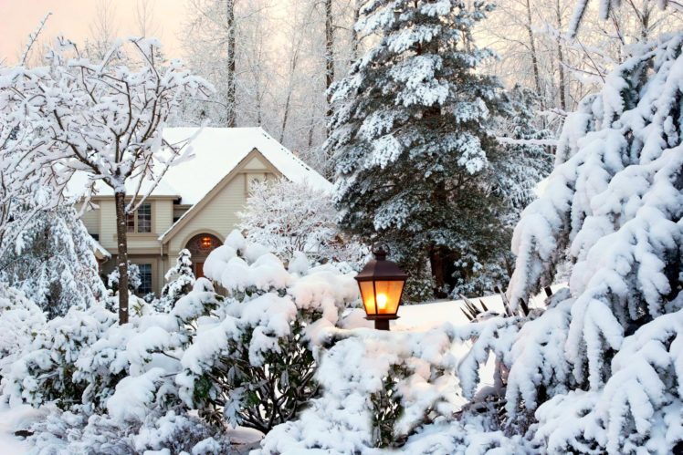 seasons, Winter, Fir, Snow, Street, Lights, Nature HD Wallpaper Desktop Background