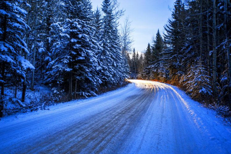 seasons, Winter, Roads, Fir, Snow, Nature HD Wallpaper Desktop Background