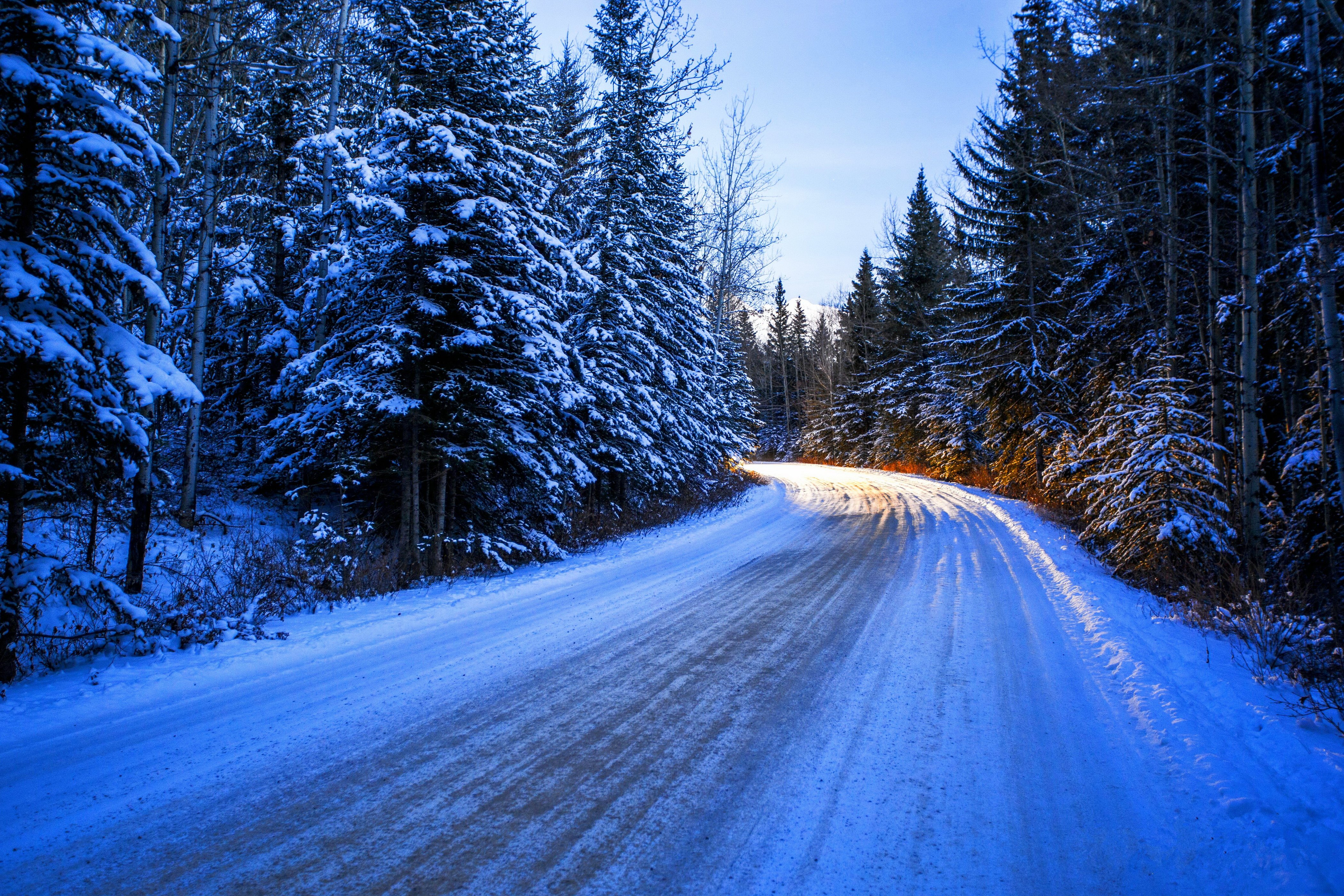 seasons, Winter, Roads, Fir, Snow, Nature Wallpaper