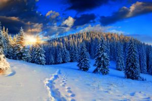 scenery, Seasons, Winter, Forest, Sky, Sunrise, And, Sunset, Snow, Fir, Nature, Mountains