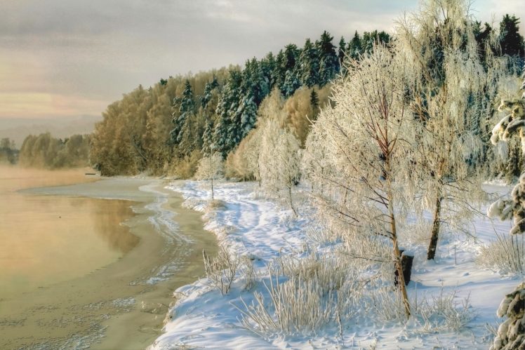 seasons, Winter, Coast, Trees, Snow, Nature, Lake, River HD Wallpaper Desktop Background