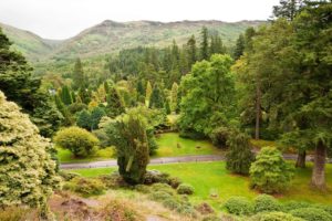 scotland, Garden, Younger,  benmore , Botanic, Argyll, Trees, Shrubs, Nature, Park