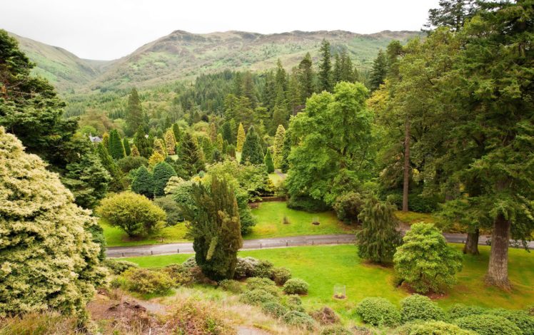 scotland, Garden, Younger,  benmore , Botanic, Argyll, Trees, Shrubs, Nature, Park HD Wallpaper Desktop Background