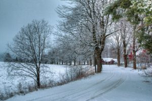 seasons, Winter, Road, Trees, Snow, Nature, Farm, House, Rustic, Barn