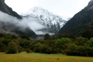new, Zealand, Park, Mountains, Fiordland, Grass, Nature, Fog, Mist, Clouds, Snow, Meadow, Forest