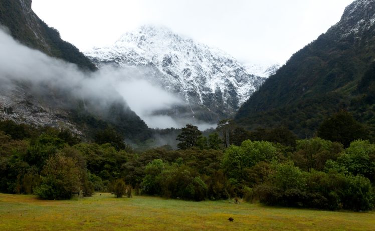 new, Zealand, Park, Mountains, Fiordland, Grass, Nature, Fog, Mist, Clouds, Snow, Meadow, Forest HD Wallpaper Desktop Background