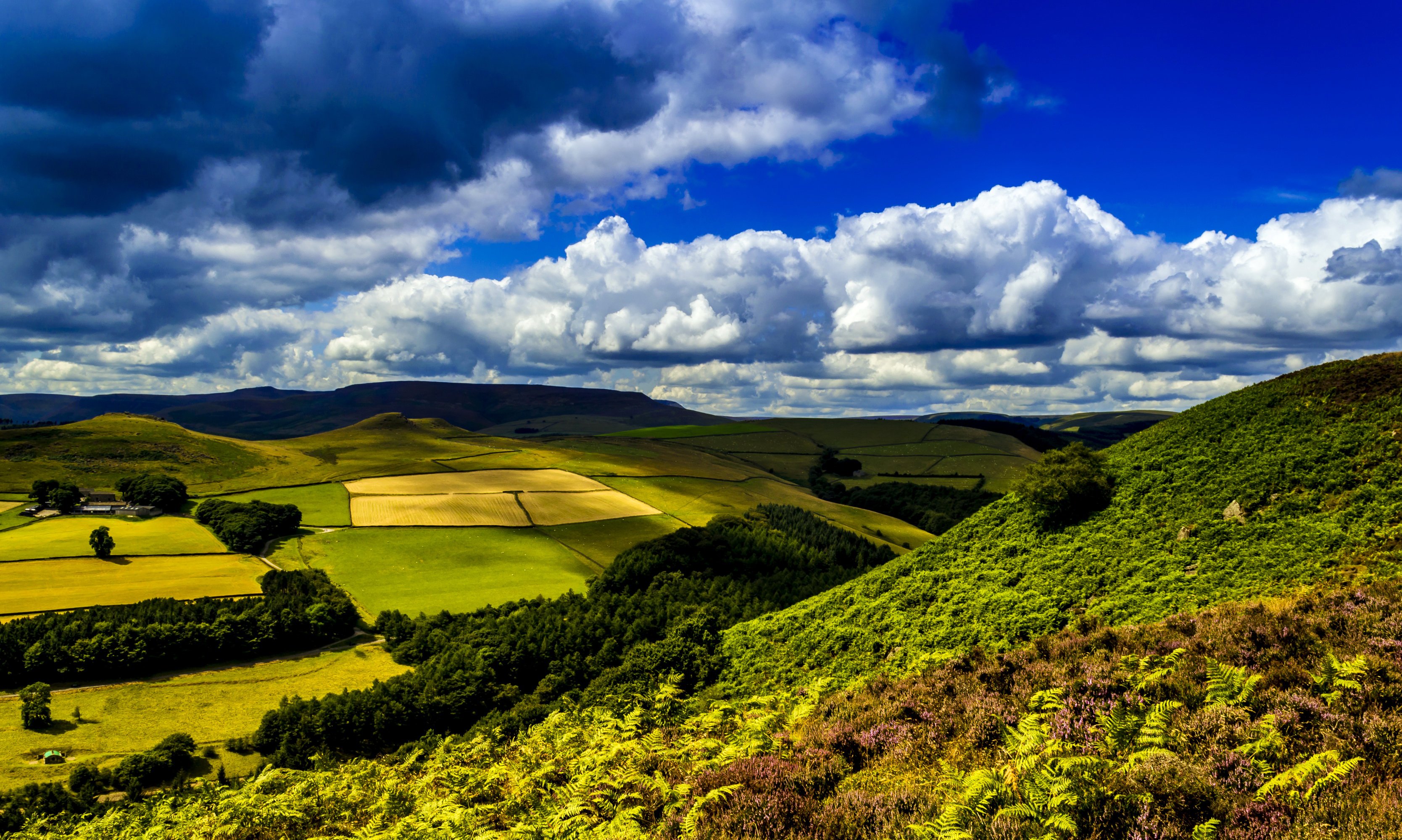 united, Kingdom, Scenery, Field, Ladybower, Clouds, Nature, Landscape, Ferns Wallpaper