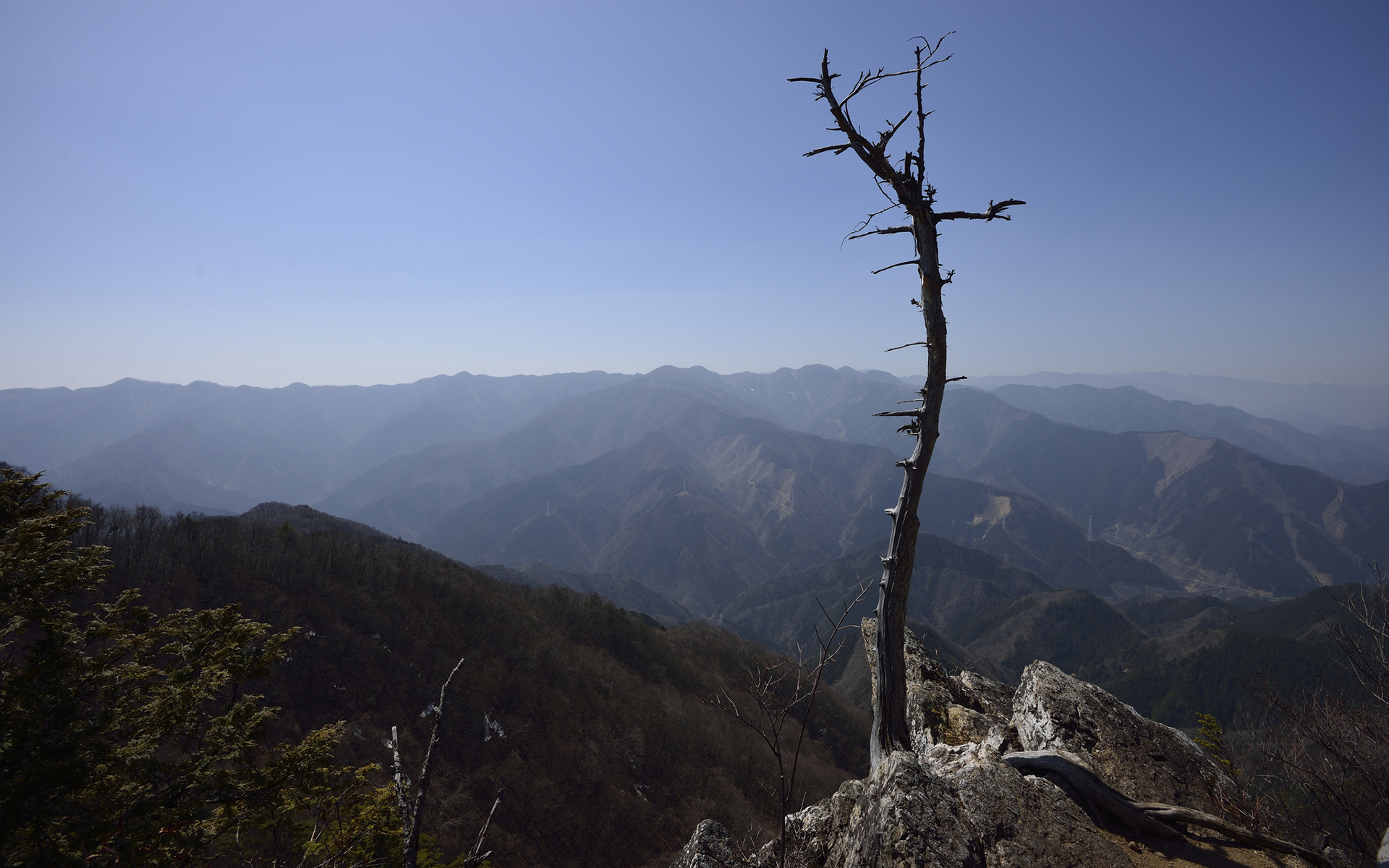 tree, Landscape, Mountains, Haze, Sky Wallpaper