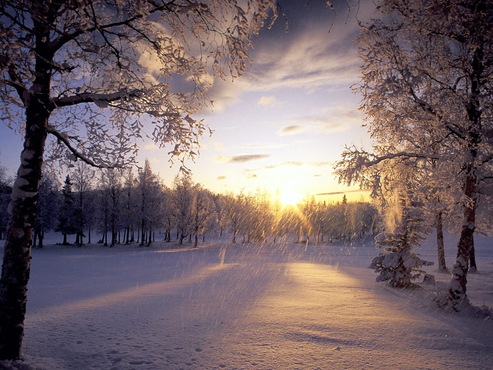 winter, Nature, Snow, Beautiful, Lovely, Landscape, Landscapes Wallpaper