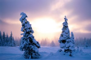 winter, Nature, Snow, Beautiful, Lovely, Landscape, Landscapes