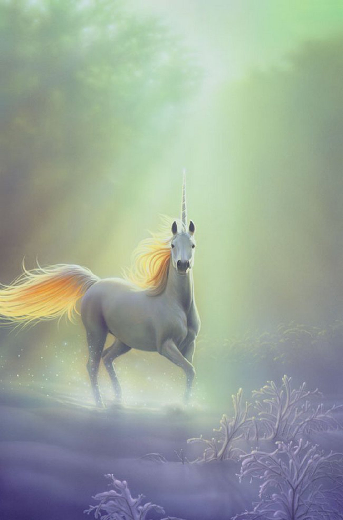 horse, Pegasus, Fantasy Wallpaper