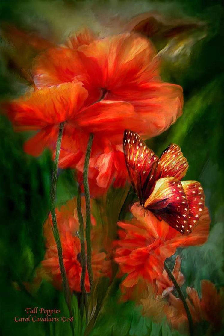 art, Flower, Red, Painting HD Wallpaper Desktop Background