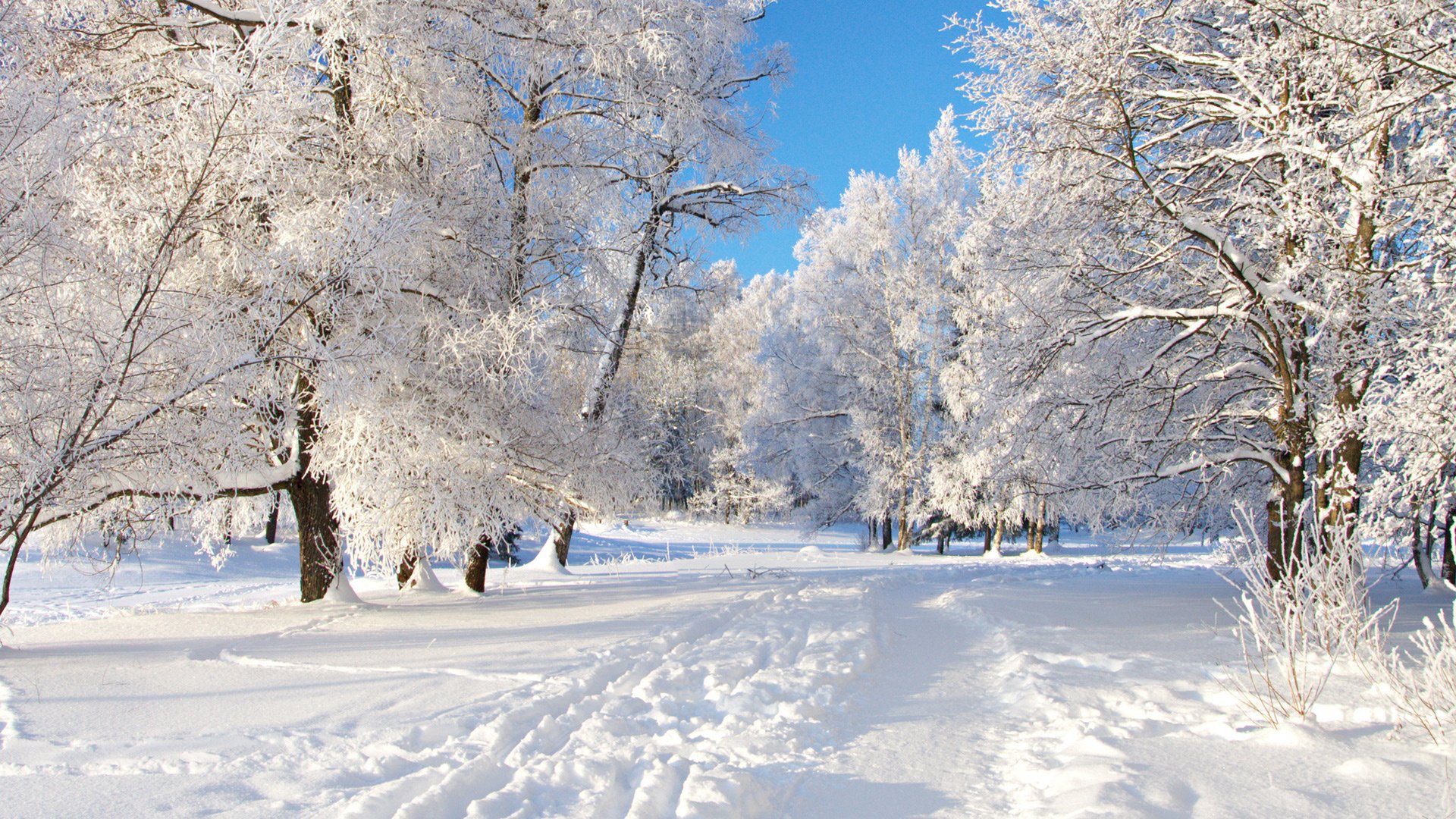 winter, Nature, Snow, Beautiful, Lovely, Landscape, Landscapes Wallpaper