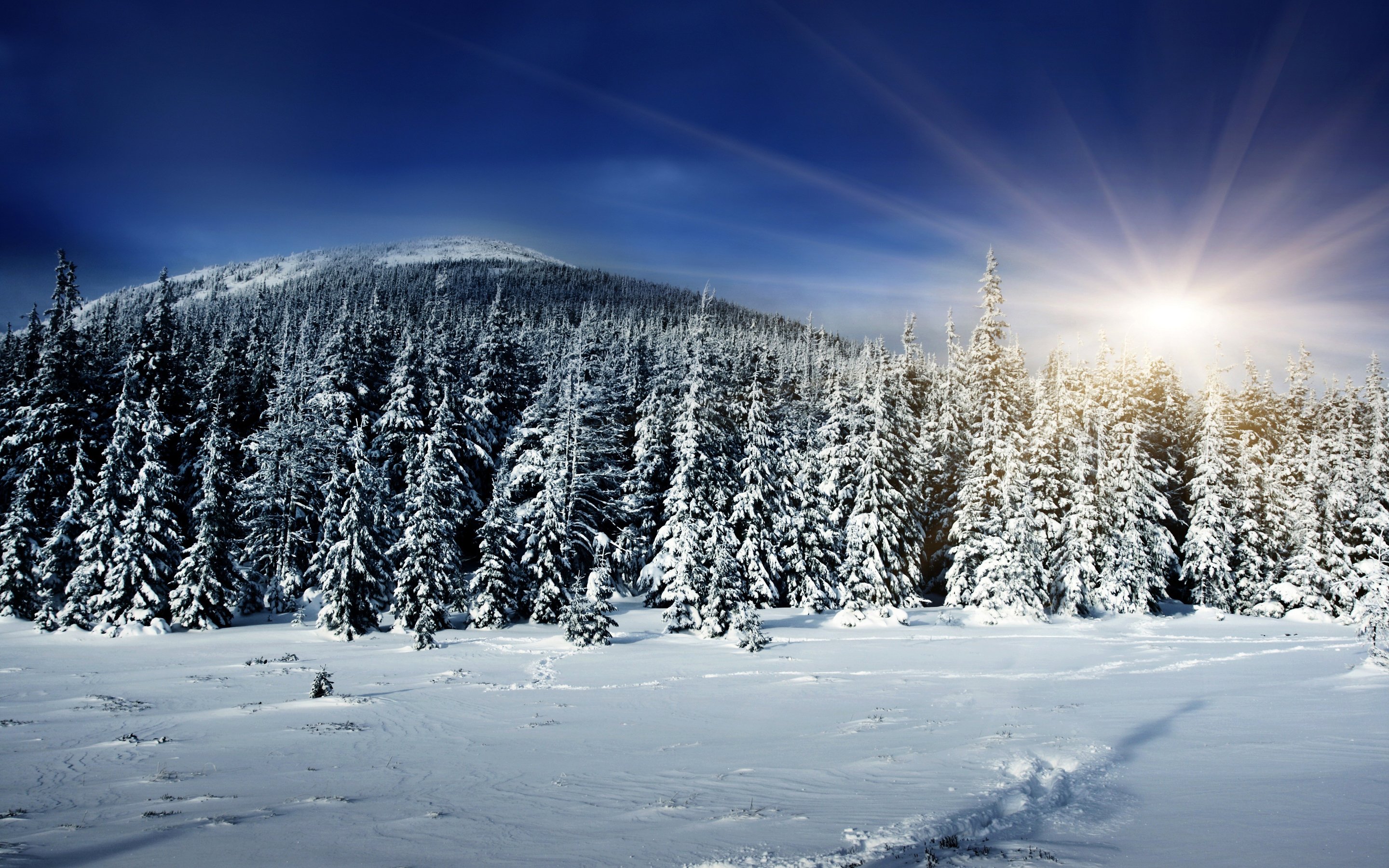 winter, Nature, Snow, Beautiful, Lovely, Landscape, Landscapes Wallpaper