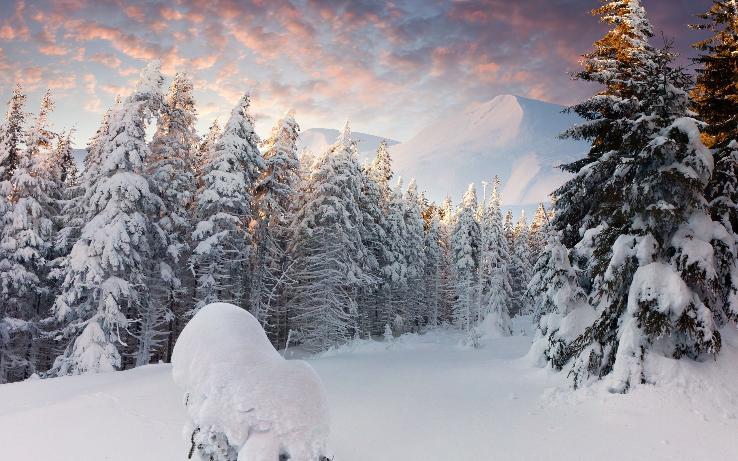 Winter Nature Snow Beautiful Lovely Landscape Landscapes