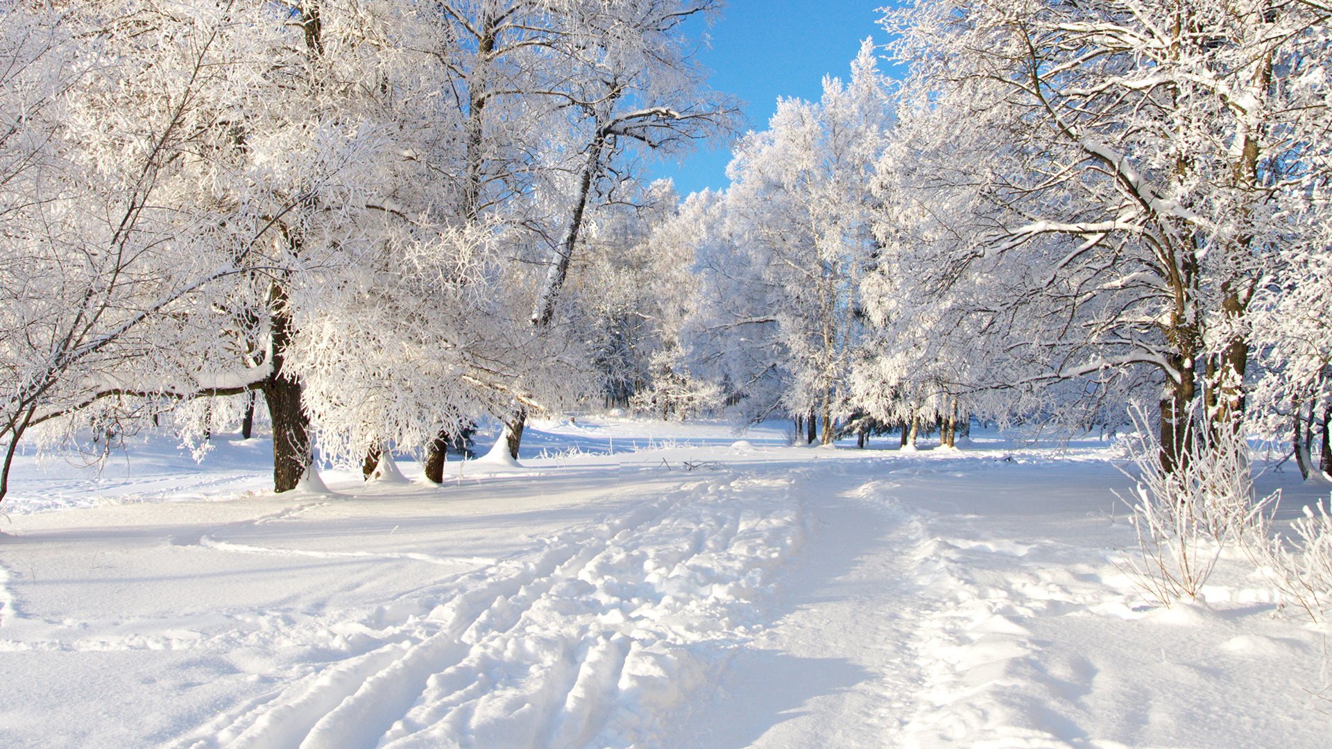 winter, Nature, Snow, Beautiful, Lovely, Landscape, Landscapes Wallpaper