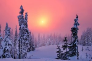 winter, Nature, Snow, Beautiful, Lovely, Landscape, Landscapes