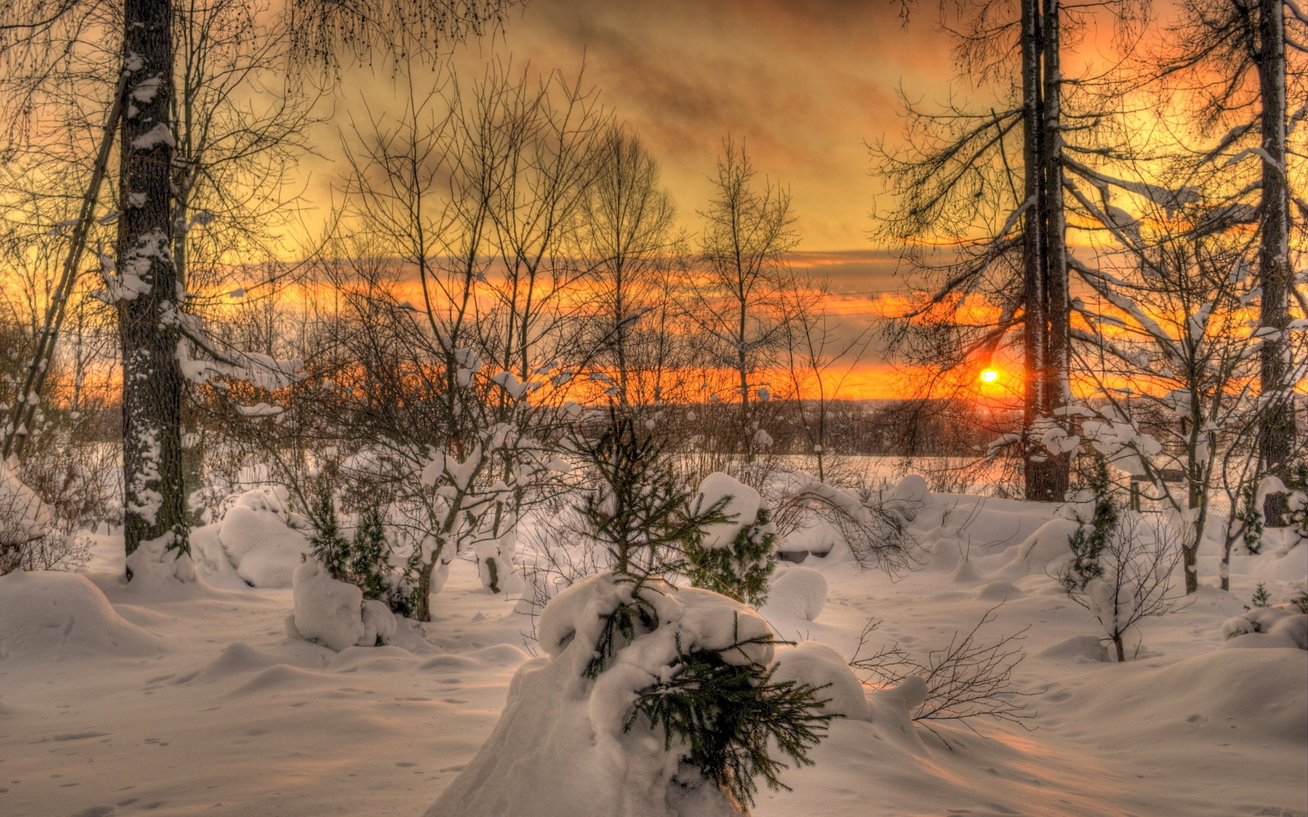 winter, Nature, Snow, Beautiful, Lovely, Landscape, Landscapes Wallpaper