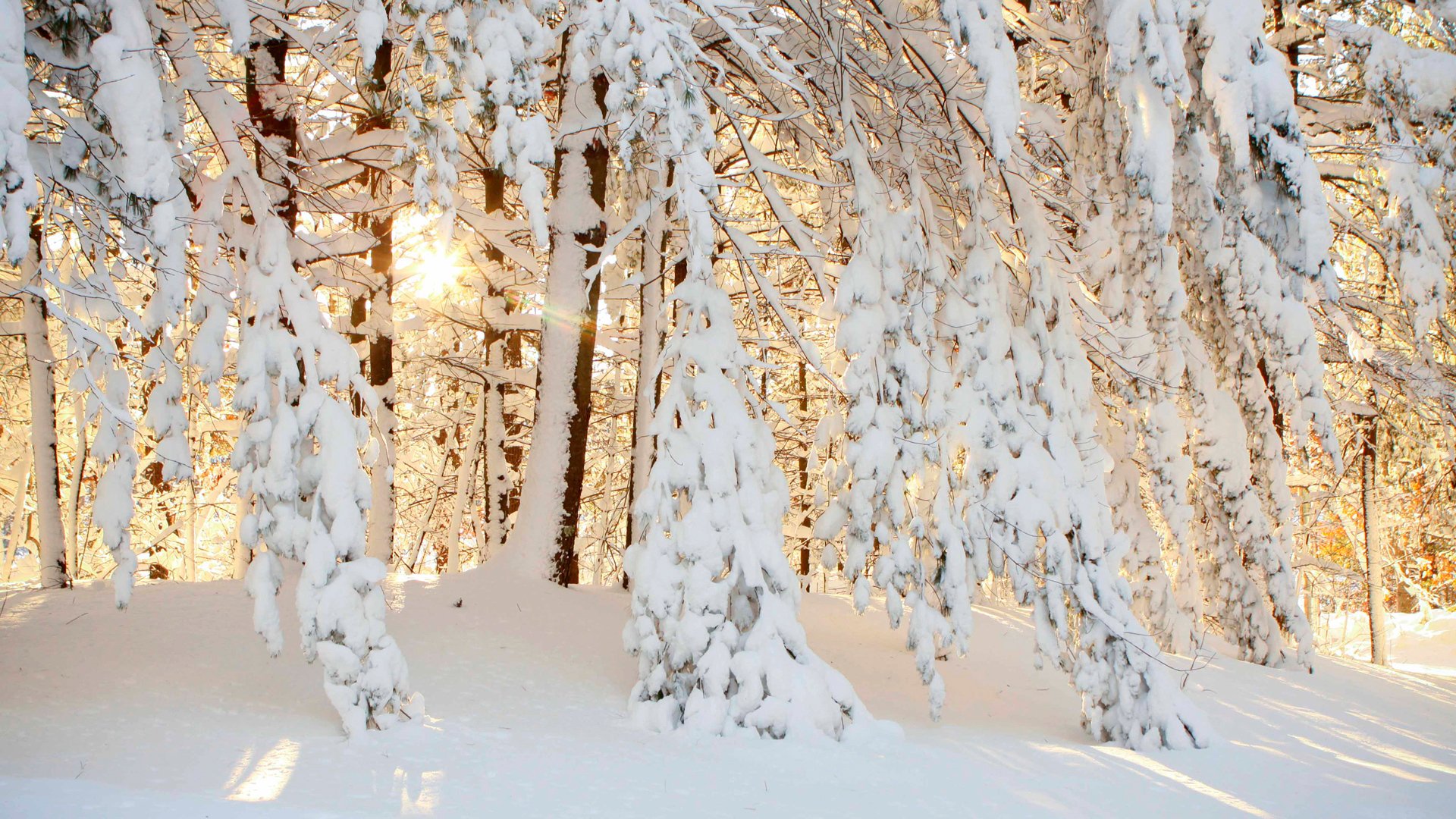 winter, Nature, Snow, Beautiful, Lovely, Landscape, Landscapes Wallpaper