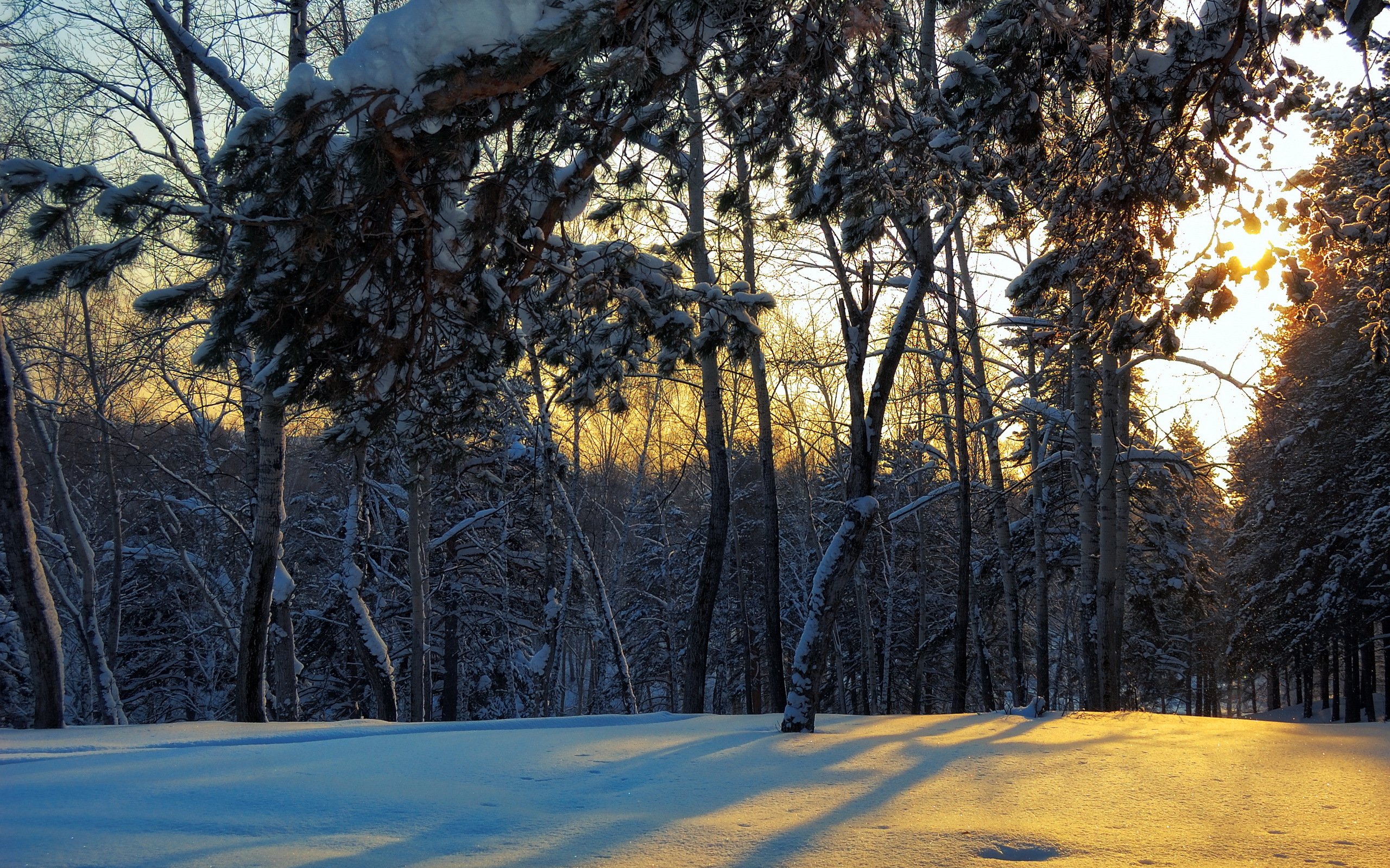 winter, Nature, Snow, Beautiful, Lovely, Landscape, Landscapes Wallpaper