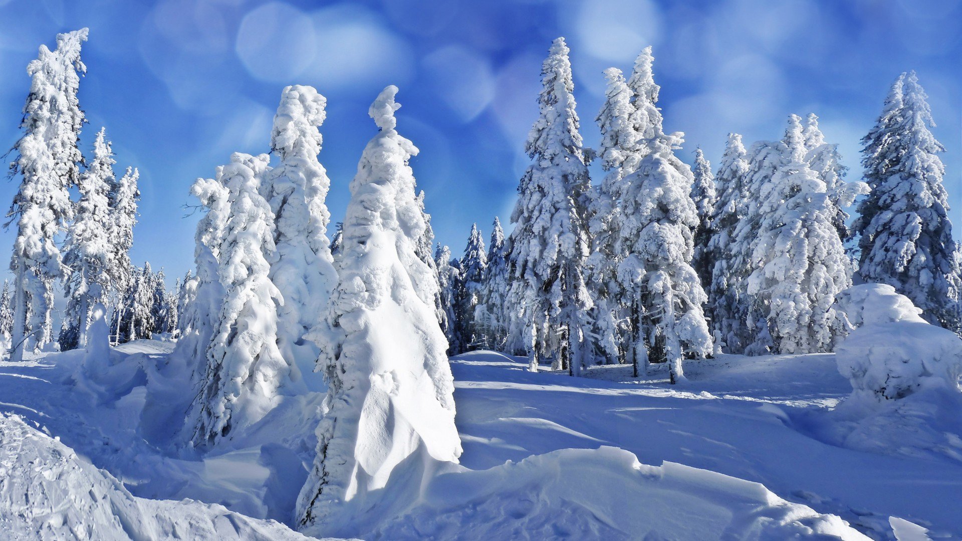 winter, Nature, Snow, Beautiful, Lovely, Landscape, Landscapes Wallpaper