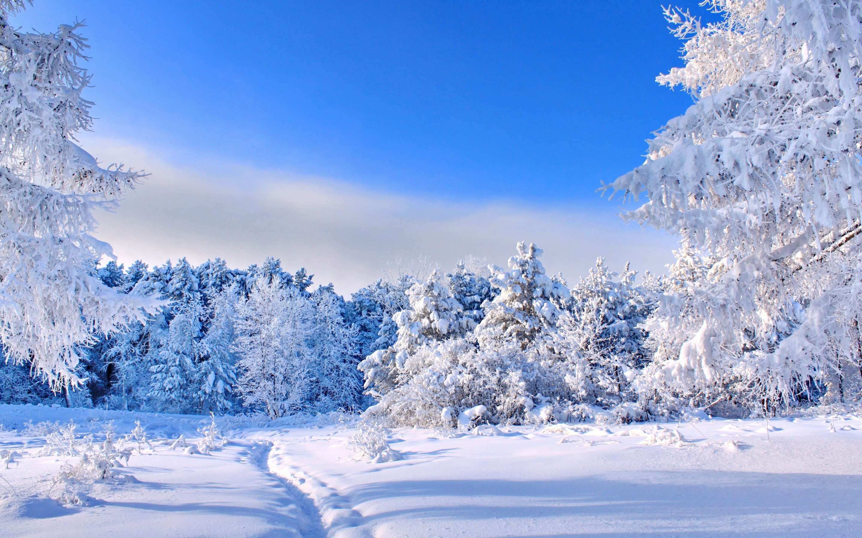 winter, Nature, Snow, Beautiful, Lovely, Landscape, Landscapes Wallpaper