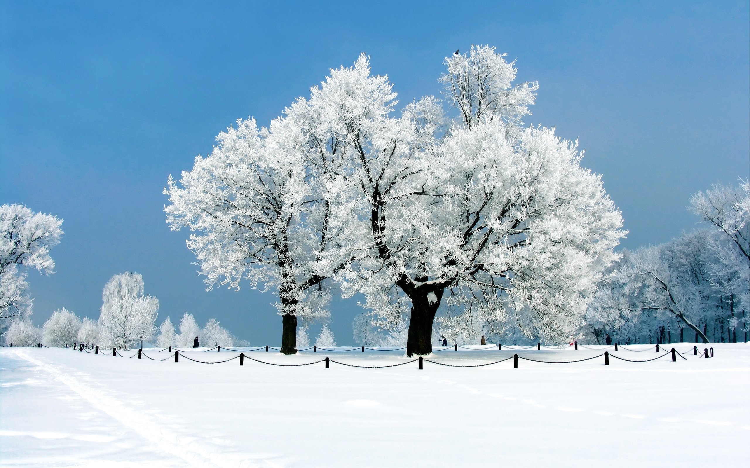 winter, Nature, Snow, Beautiful, Lovely, Landscape, Landscapes Wallpaper