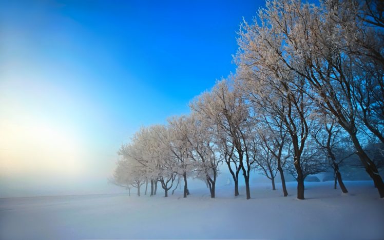 winter, Nature, Snow, Beautiful, Lovely, Landscape, Landscapes HD Wallpaper Desktop Background