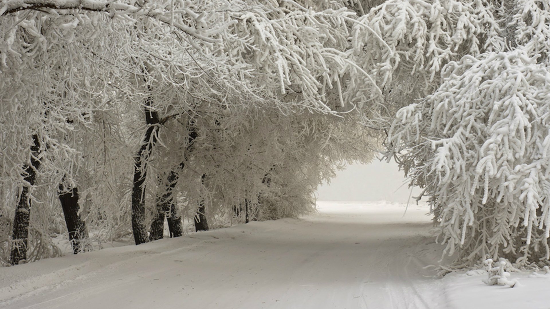 winter, Nature, Snow, Beautiful, Lovely, Landscape, Landscapes Wallpaper
