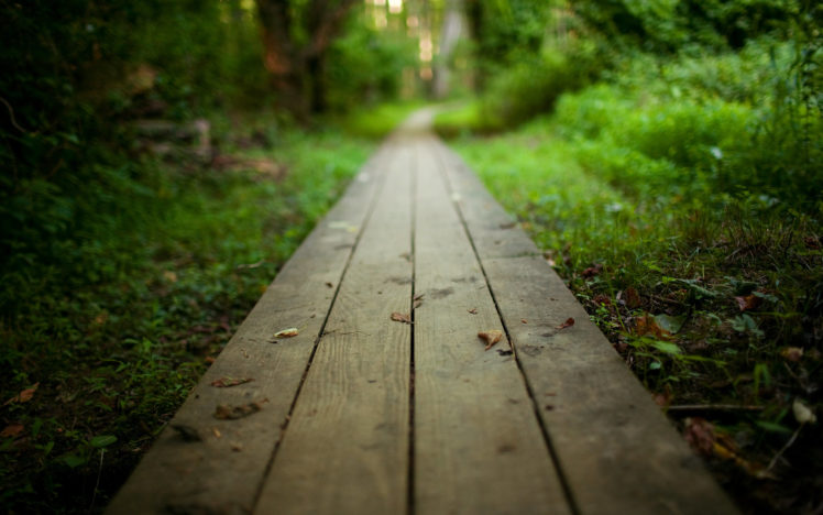 way, To, The, Nature HD Wallpaper Desktop Background
