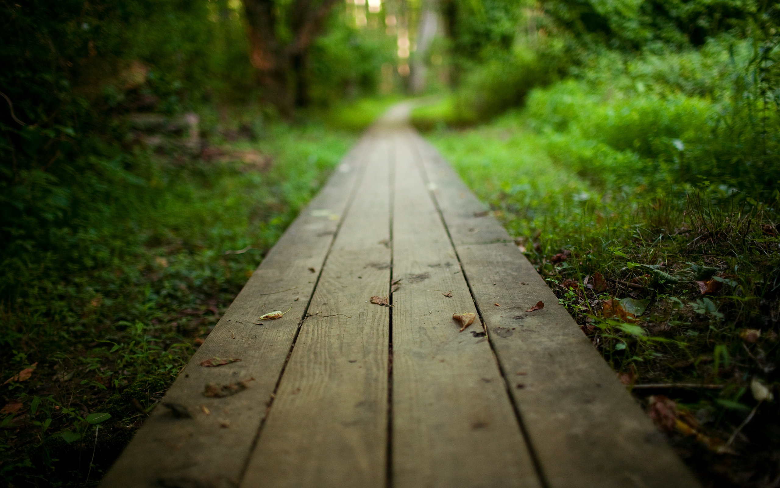 way, To, The, Nature Wallpaper