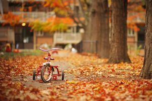 autumnal, Tricycle