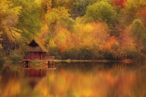 autumn, Season, Forest, Houses, Lakes