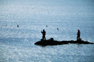fishing, Sea, Bird, People