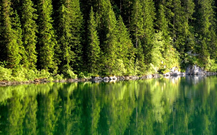 nature, Trees, Lakes, Lakeside HD Wallpaper Desktop Background