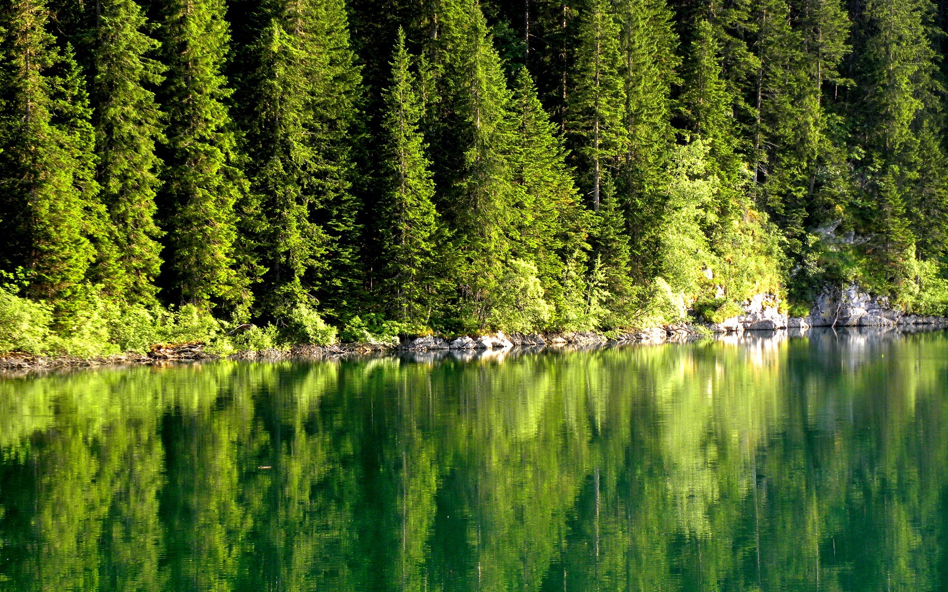 nature, Trees, Lakes, Lakeside Wallpaper