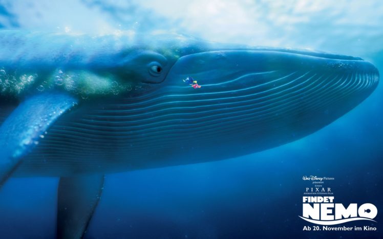 finding, Nemo, Animation, Underwater, Sea, Ocean, Tropical, Fish, Adventure, Family, Comedy, Drama, Disney, 1finding nemo, Whale HD Wallpaper Desktop Background